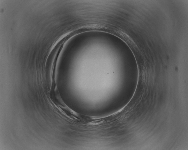 X0000067830484200604271558