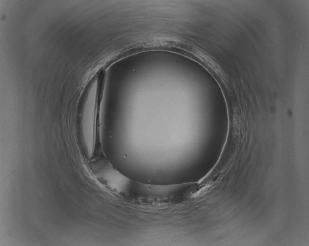 X0000067830485200604271558