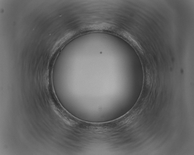 X0000067830486200604271558