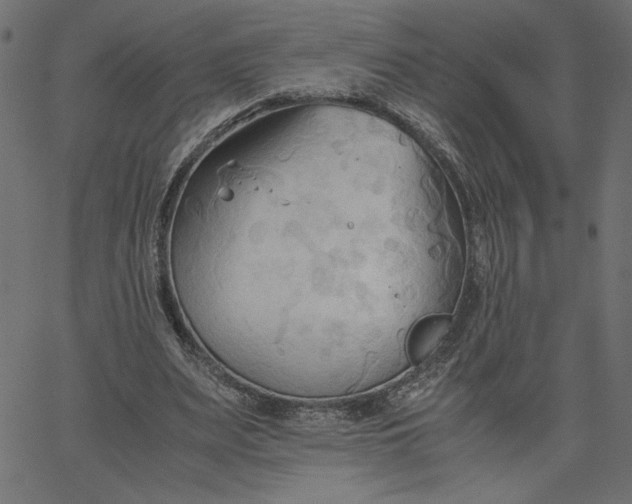 X0000067830487200604271558