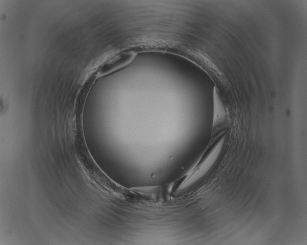 X0000067830488200604271558