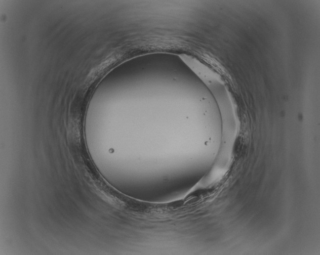 X0000067830489200604271558