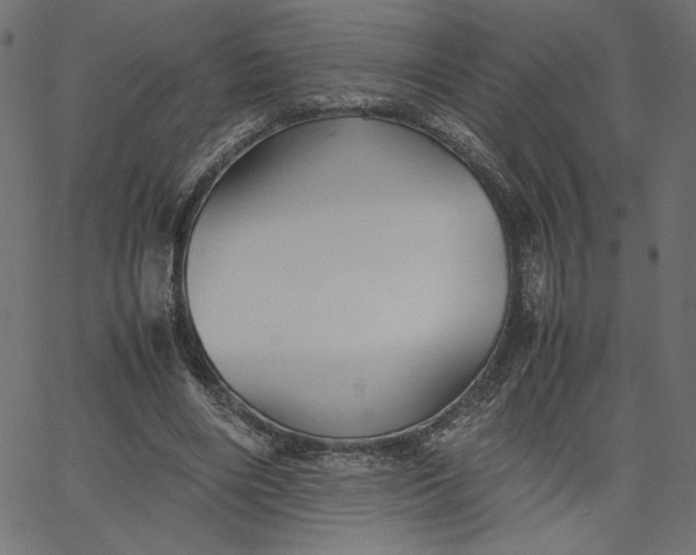 X0000067830490200604271558