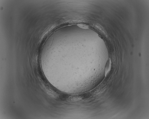 X0000067830491200604271558