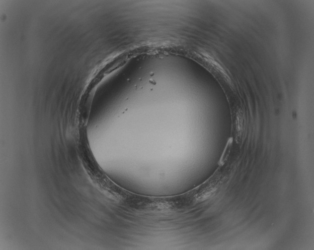 X0000067830492200604271558