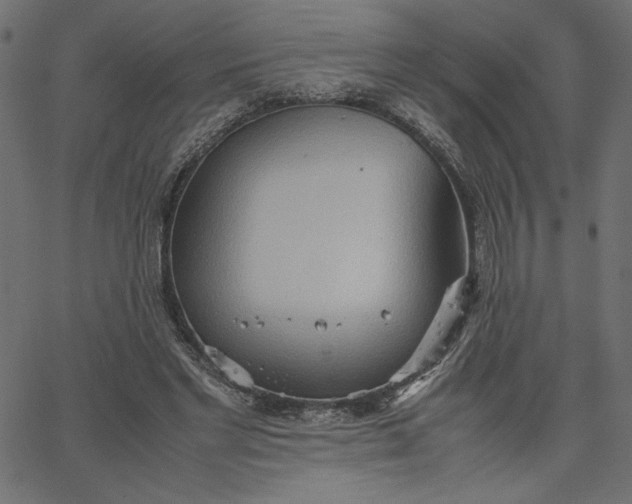 X0000067830493200604271558