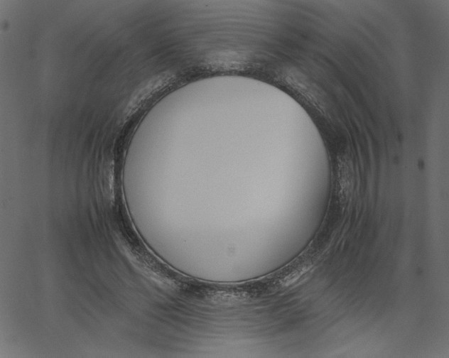 X0000067830494200604271558