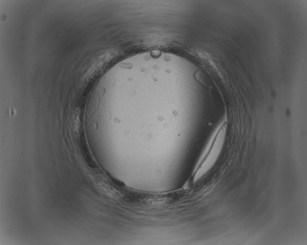 X0000067830495200604271558