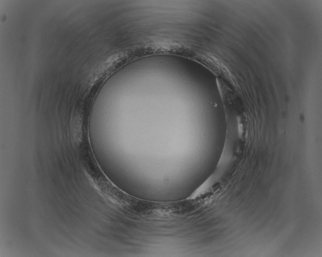 X0000067830496200604271558