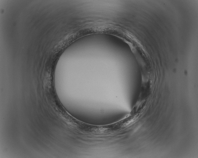 X0000067830497200604271558