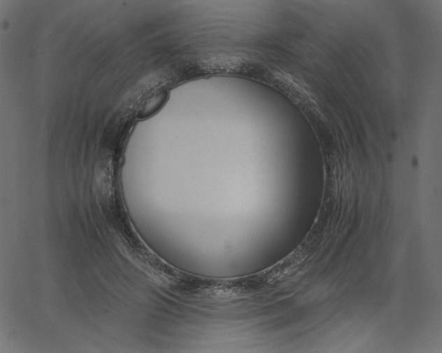 X0000067830498200604271558