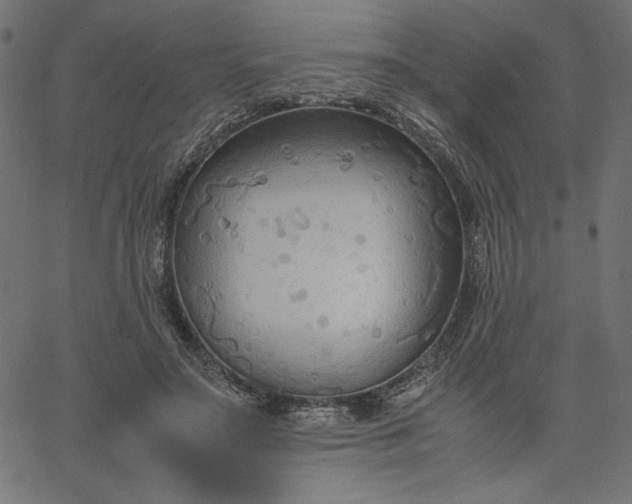 X0000067830499200604271558