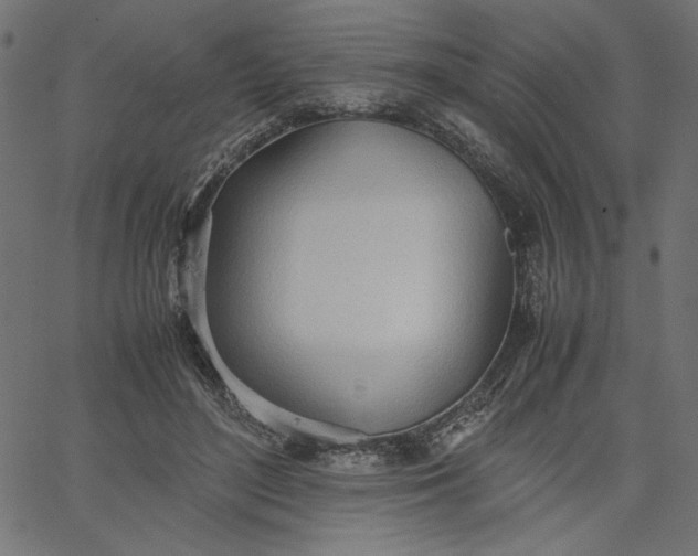 X0000067830500200604271558