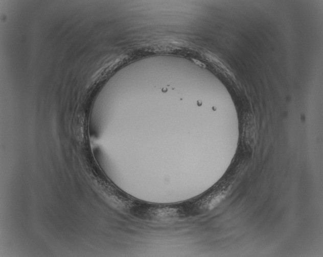 X0000067830501200604271558