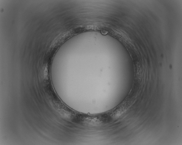 X0000067830502200604271558