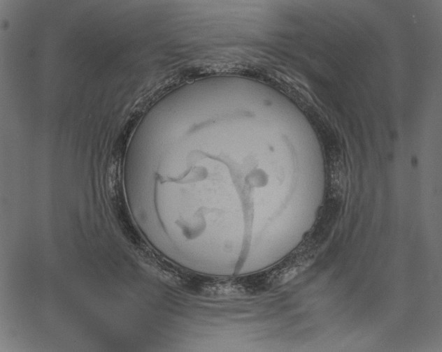 X0000067830503200604271558