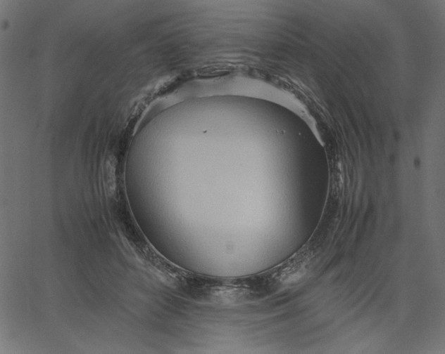 X0000067830504200604271558