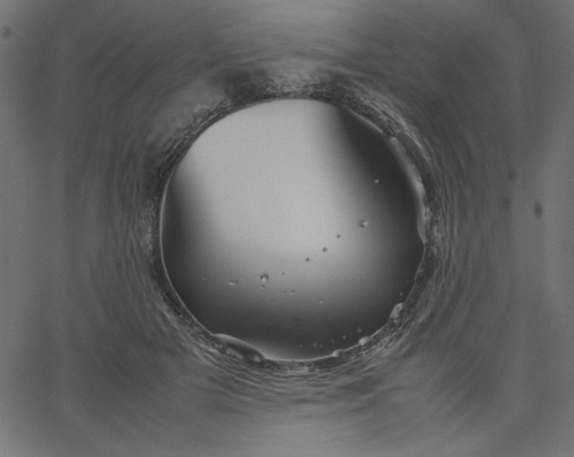 X0000067830505200604271558