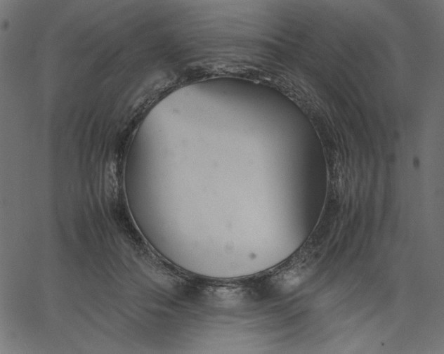 X0000067830506200604271558