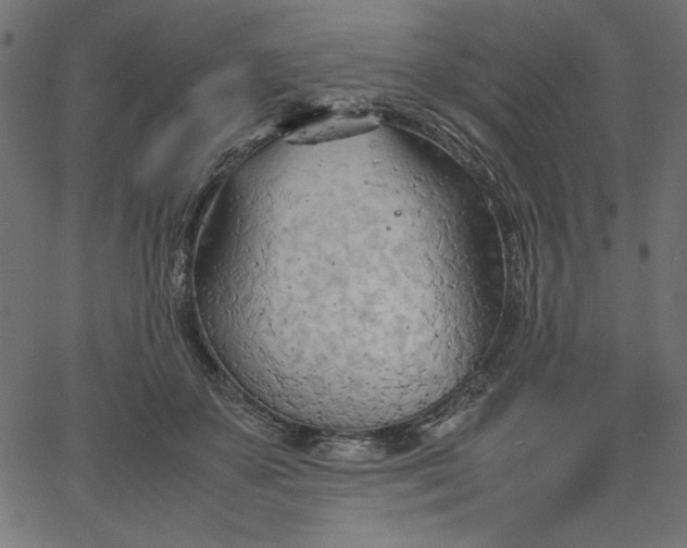 X0000067830507200604271558