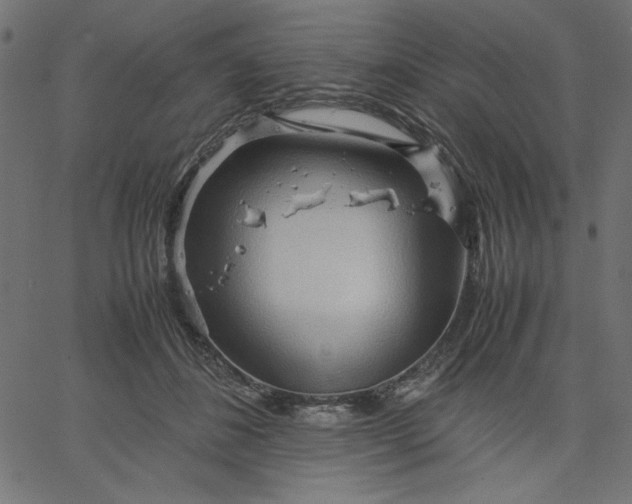 X0000067830508200604271558