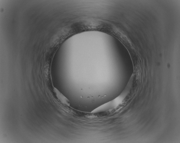 X0000067830509200604271558