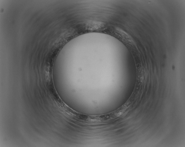 X0000067830510200604271558