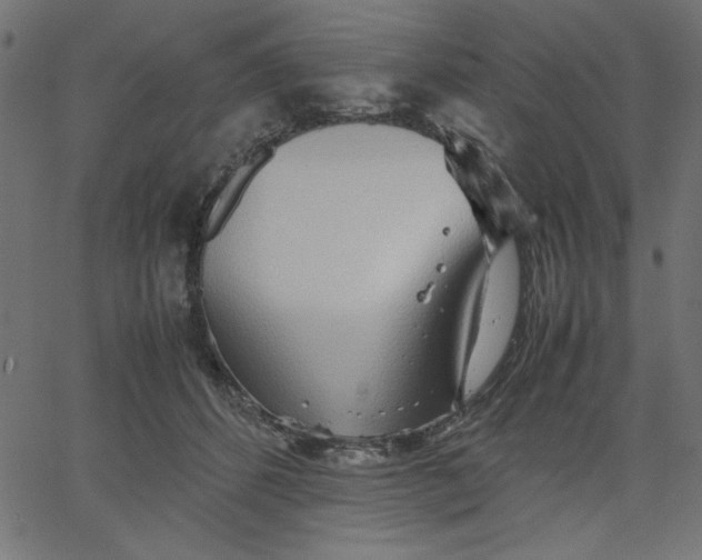 X0000067830512200604271558