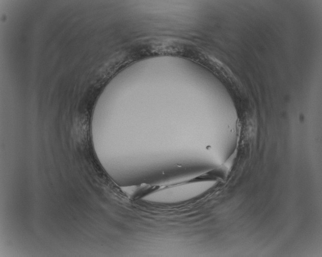 X0000067830513200604271558