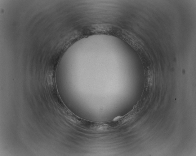 X0000067830514200604271558