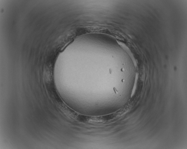 X0000067830515200604271558