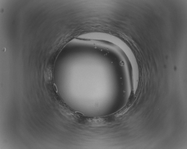 X0000067830517200604271558