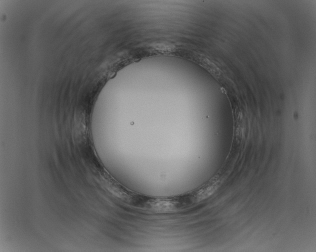 X0000067830518200604271557