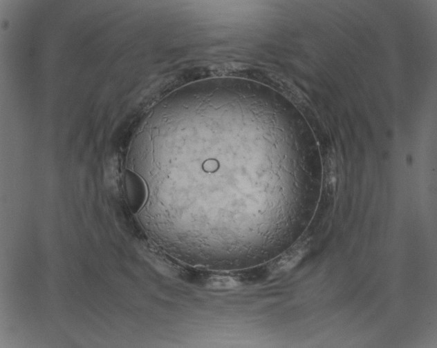 X0000067830519200604271557