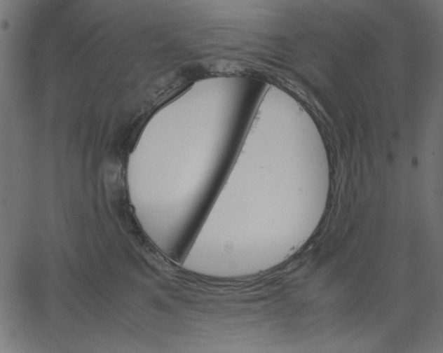 X0000067830521200604271557