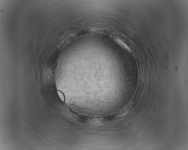 X0000067830523200604271557