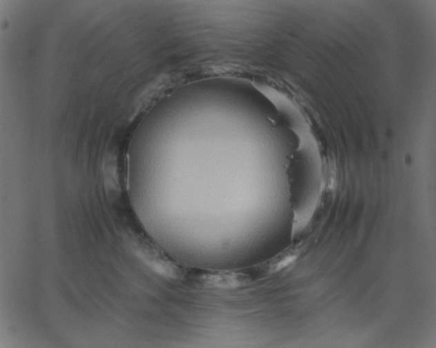 X0000067830524200604271557