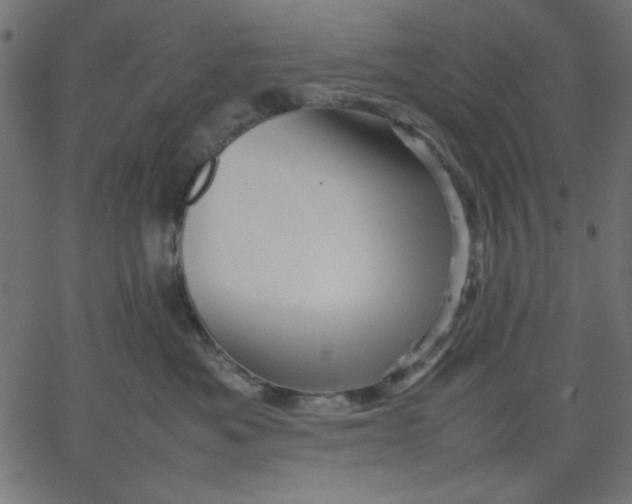 X0000067830525200604271557