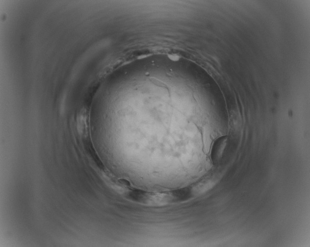 X0000067830527200604271557