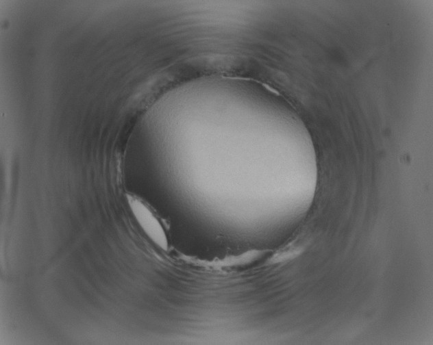 X0000067830528200604271557