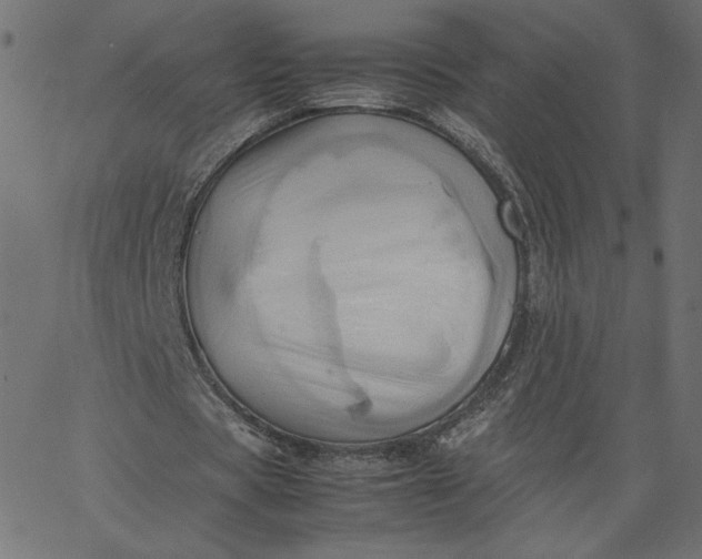 X0000067830529200604271557