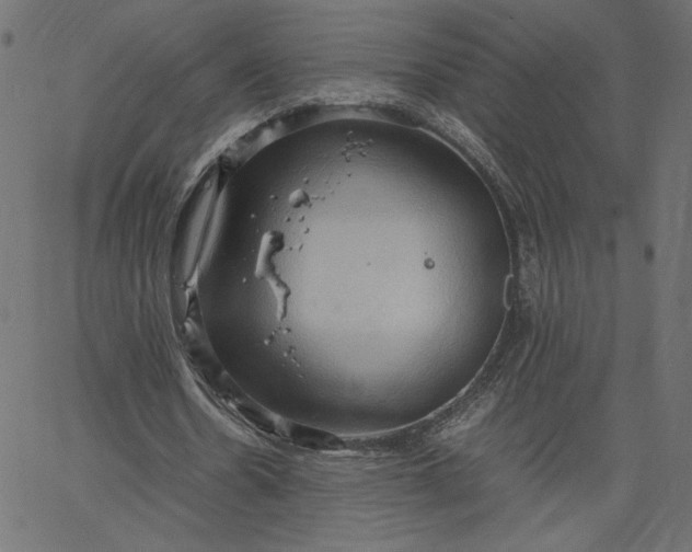 X0000067830530200604271557