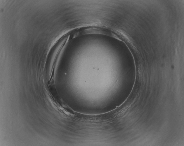 X0000067830532200604271557