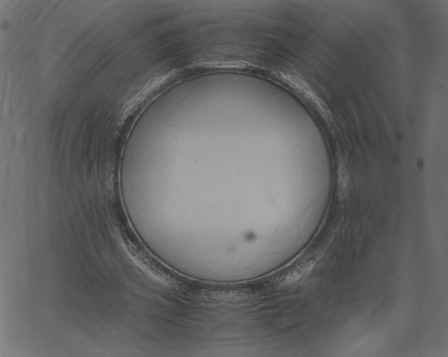 X0000067830533200604271557