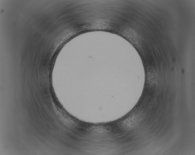 X0000067830534200604271557