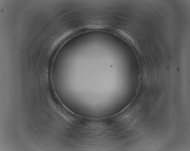 X0000067830535200604271557