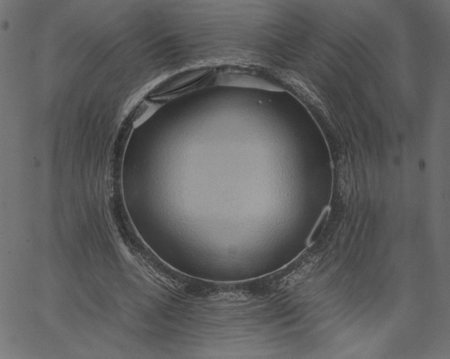 X0000067830536200604271557