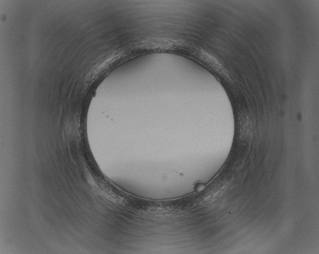 X0000067830538200604271557