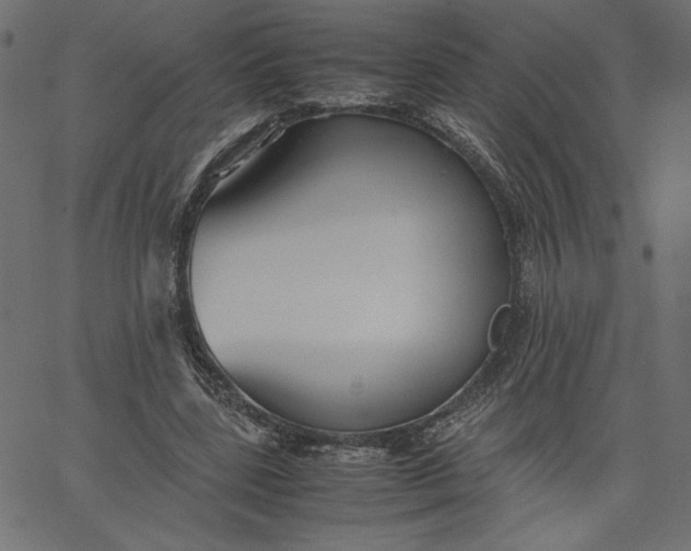 X0000067830539200604271557