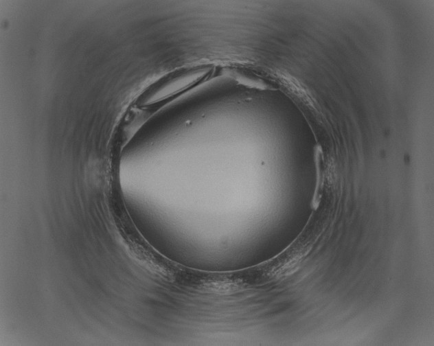 X0000067830540200604271557